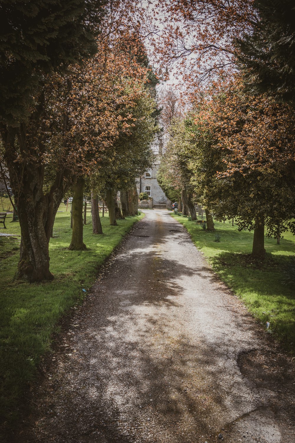 a dirt road surrounded by trees and grass