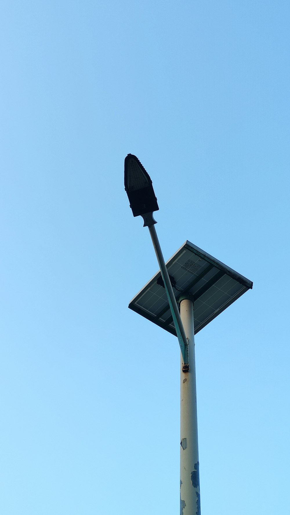 a bird sitting on top of a street light