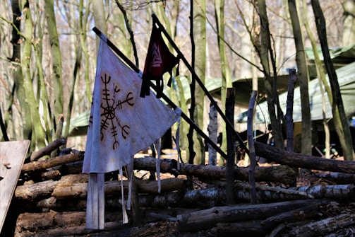 A rustic forest setting features several weathered flags with symbols, mounted on poles formed from raw tree branches. Behind them, makeshift shelters covered in tarpaulin blend into the dense arrangement of slender trees. Logs and branches are strewn about the forest floor, creating a natural barricade.