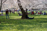 Families enjoying a sunny day at Delaware Park with blooming flowers around.