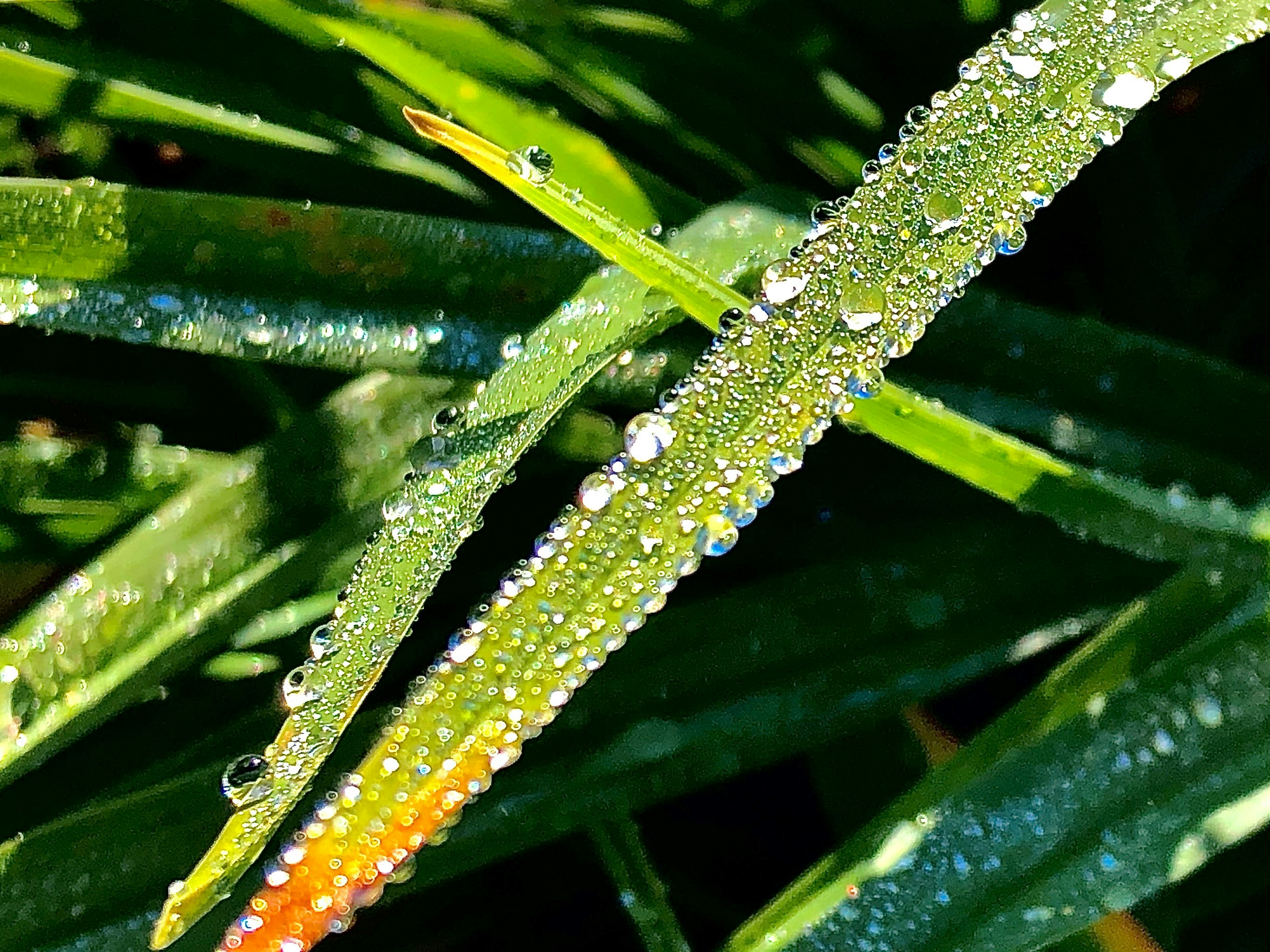 Photo by theonephoto