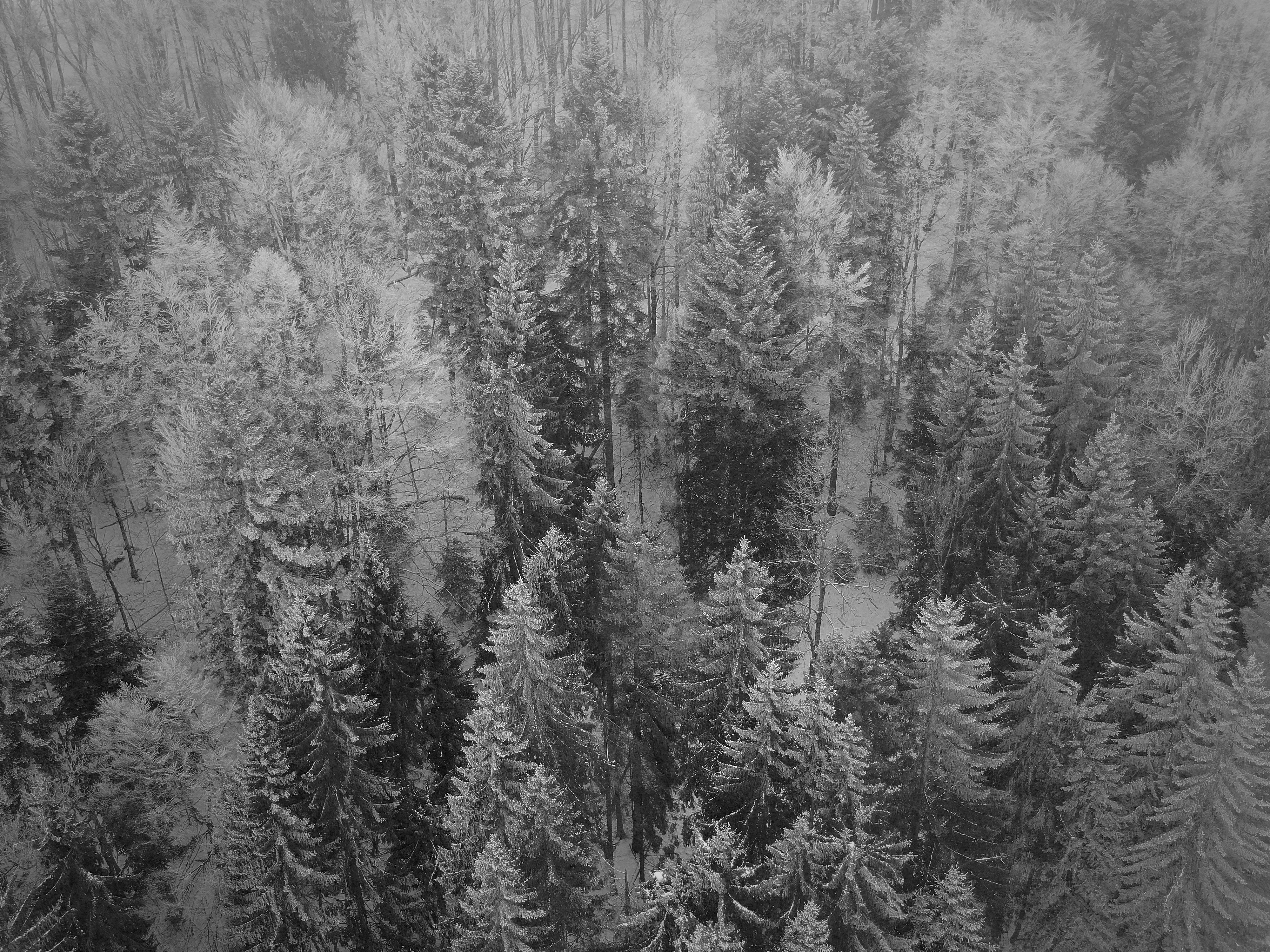 Photo by nathan030997