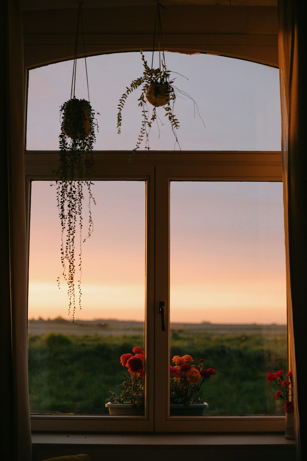 a window with a view of a field outside