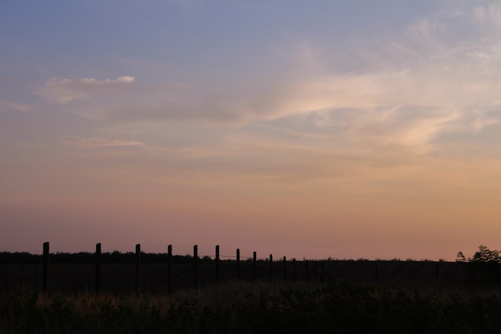 a field with a fence and a sky in the background