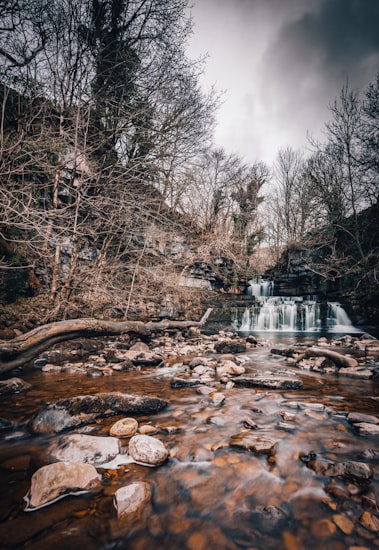 Waterfall and limestone gorge on the Ingleton Waterfalls Trail