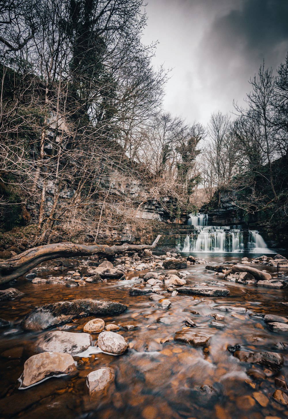 a river flowing through a forest filled with rocks