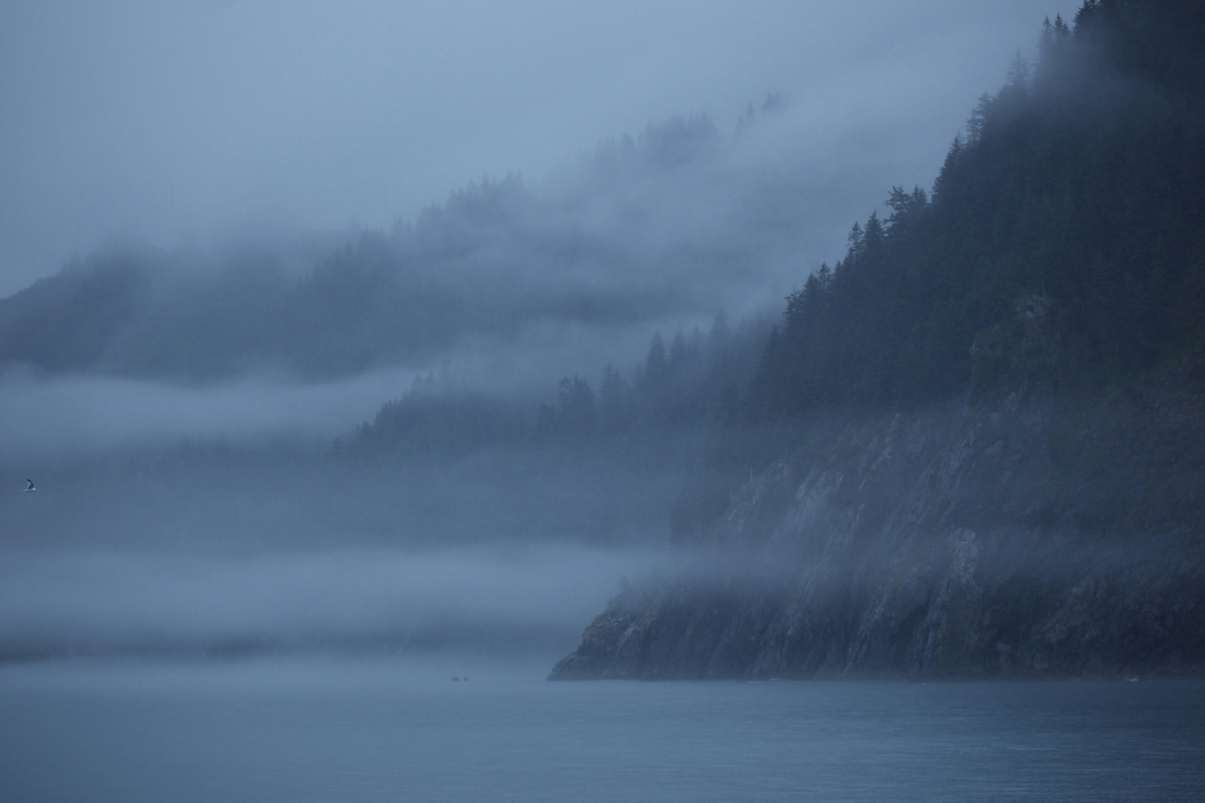 Photo by theonephoto