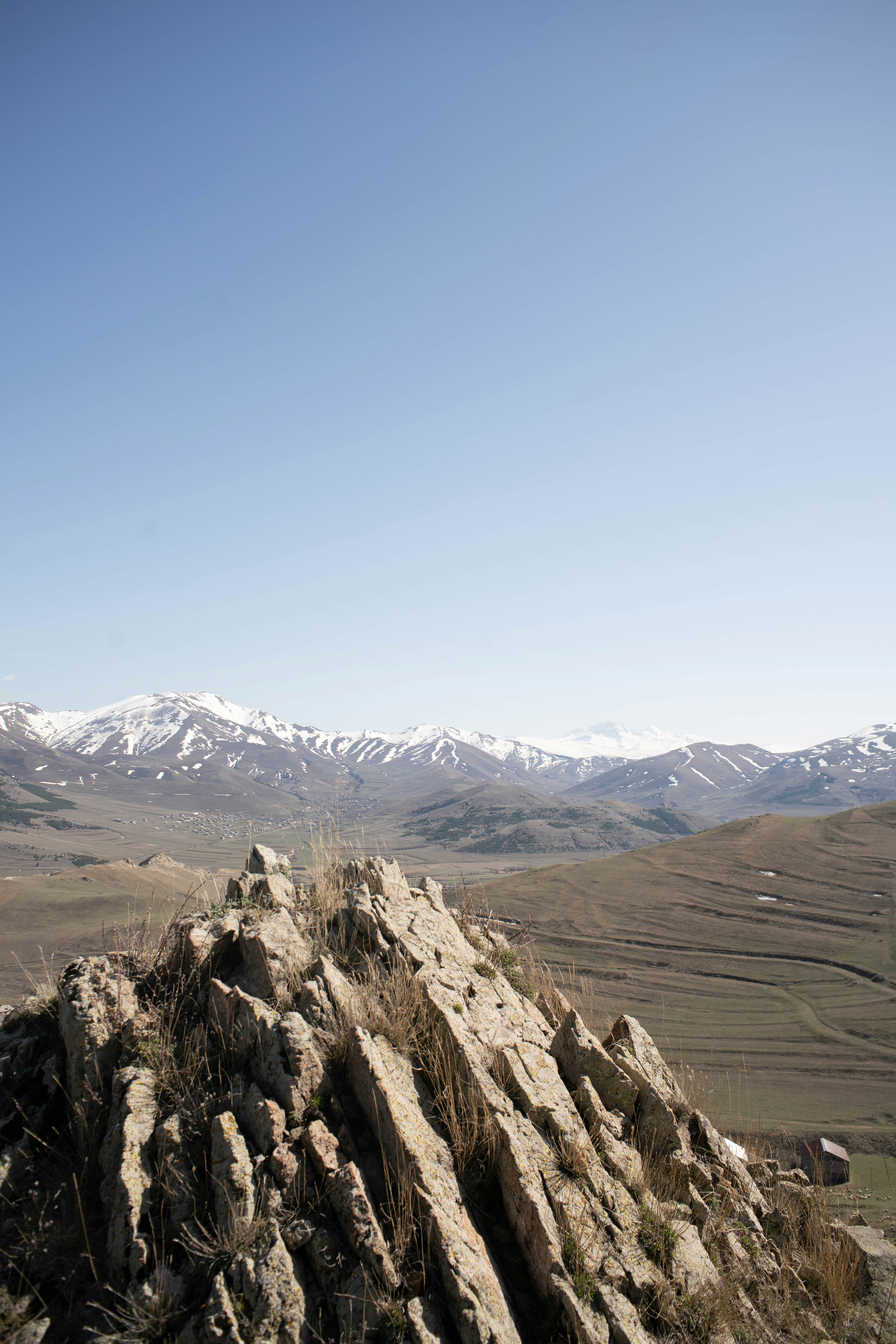 Photo by fairycarousel