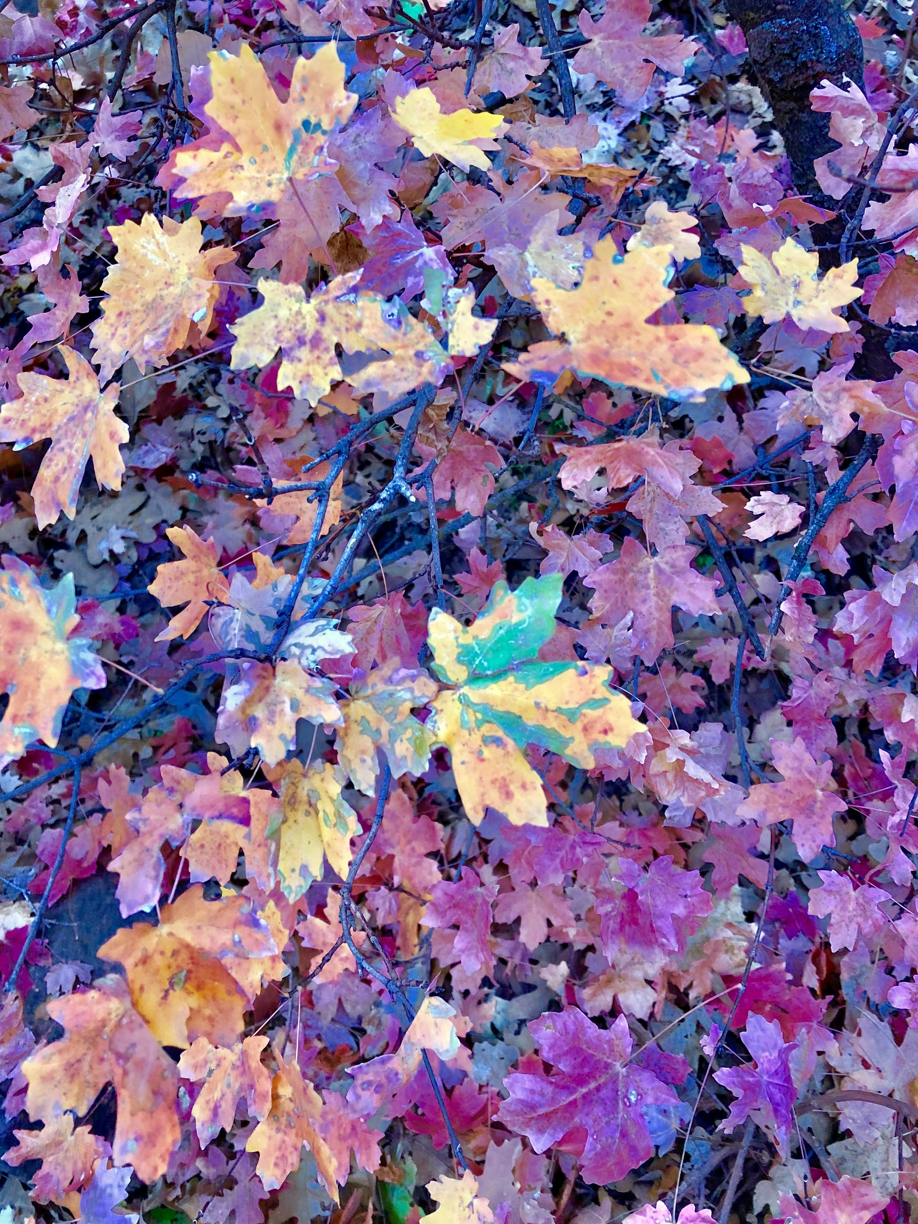 Photo by theonephoto