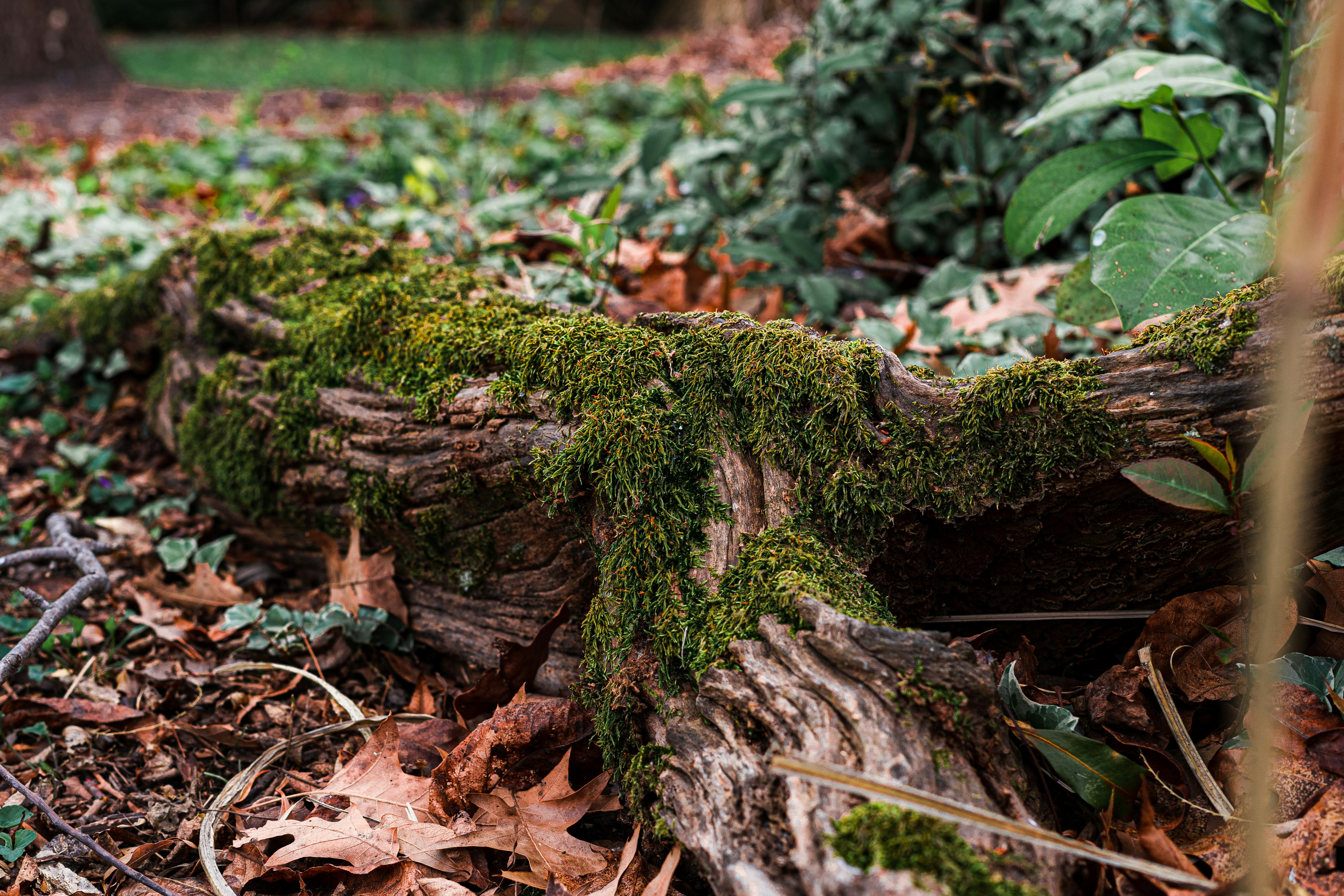 Photo by chrishardyphotography