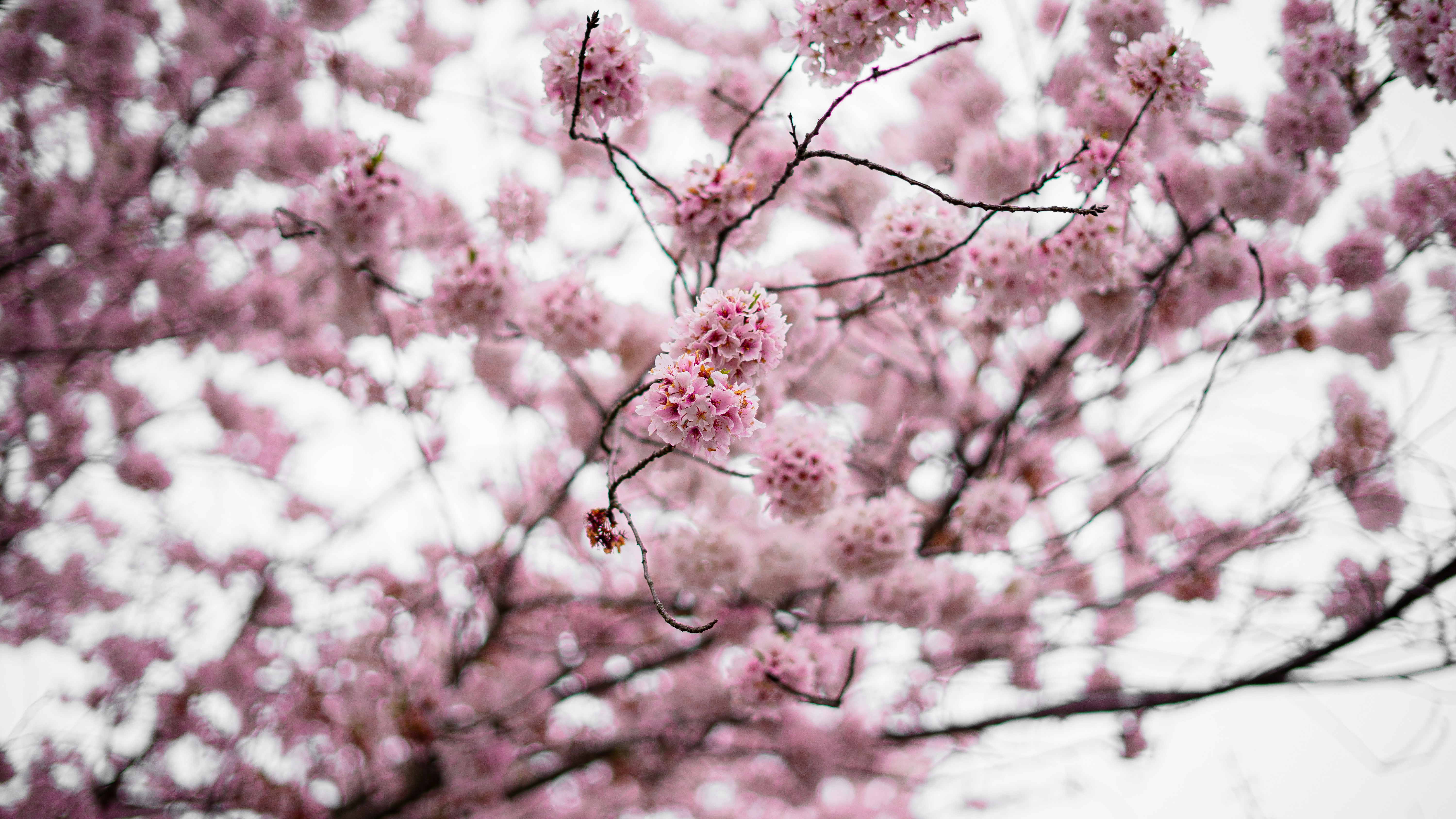 Photo by chrishardyphotography