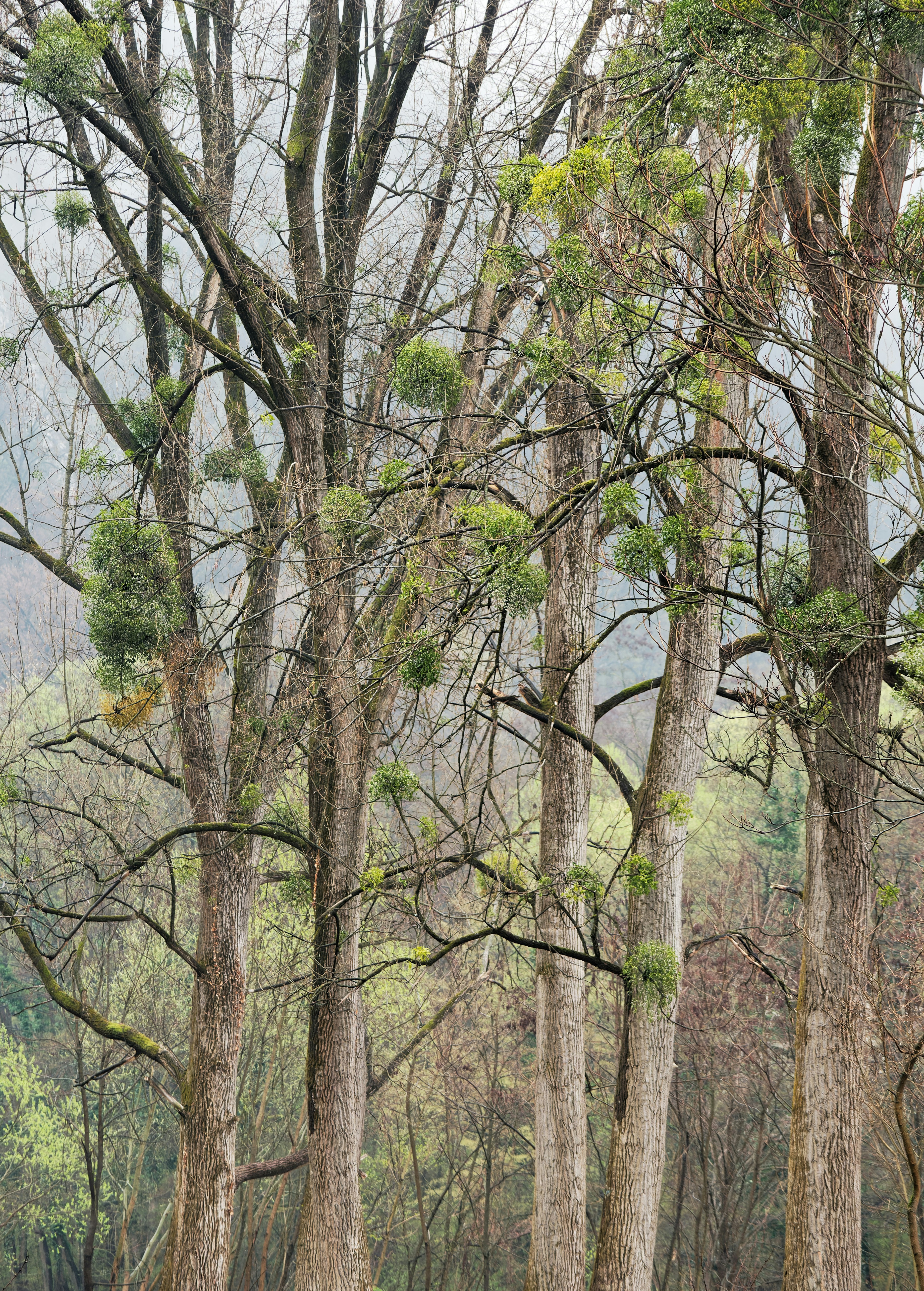 Photo by illes_cristi