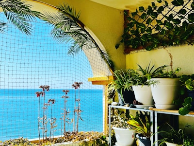 Sunlit veranda with ocean view and tropical plants