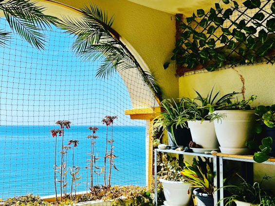 Cozy apartment with sea views and a balcony filled with plants.