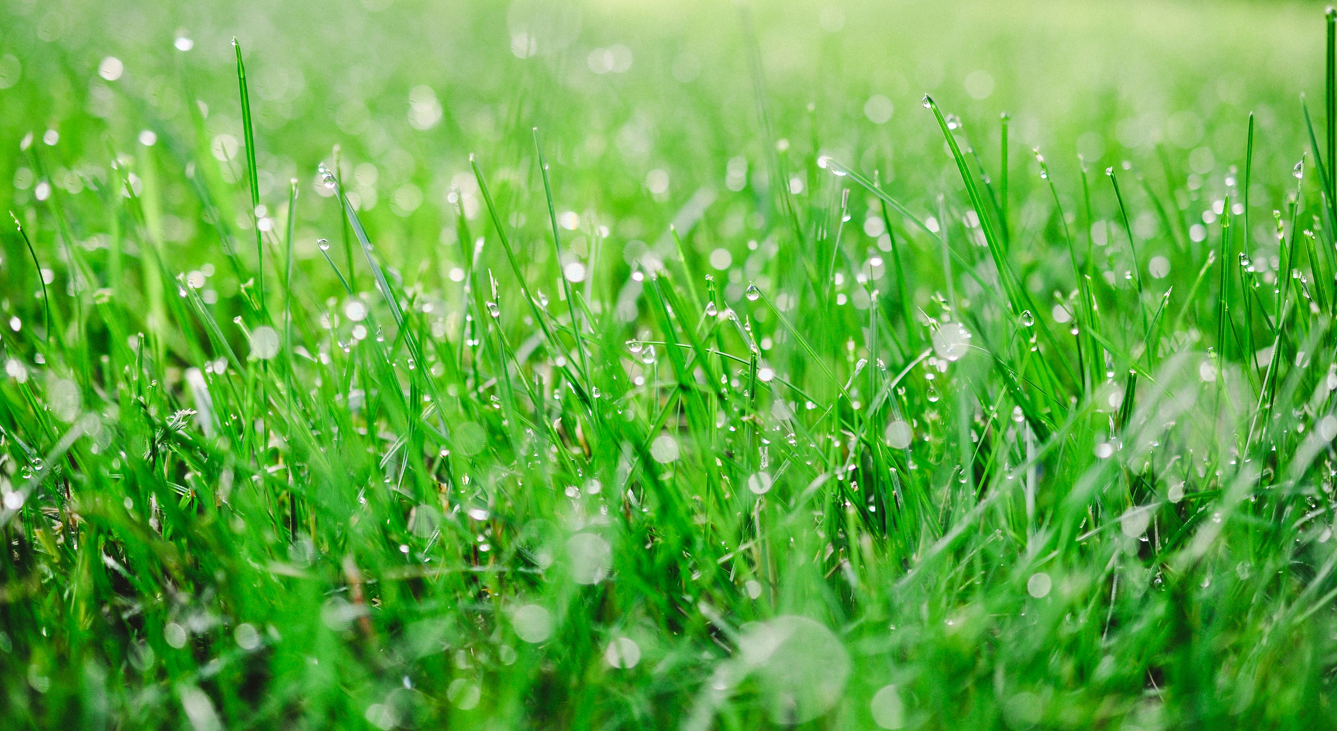 Photo by haleyparson