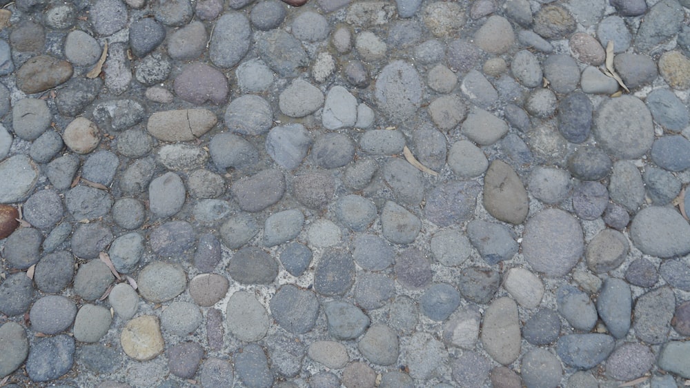 a close up of a street with rocks on it