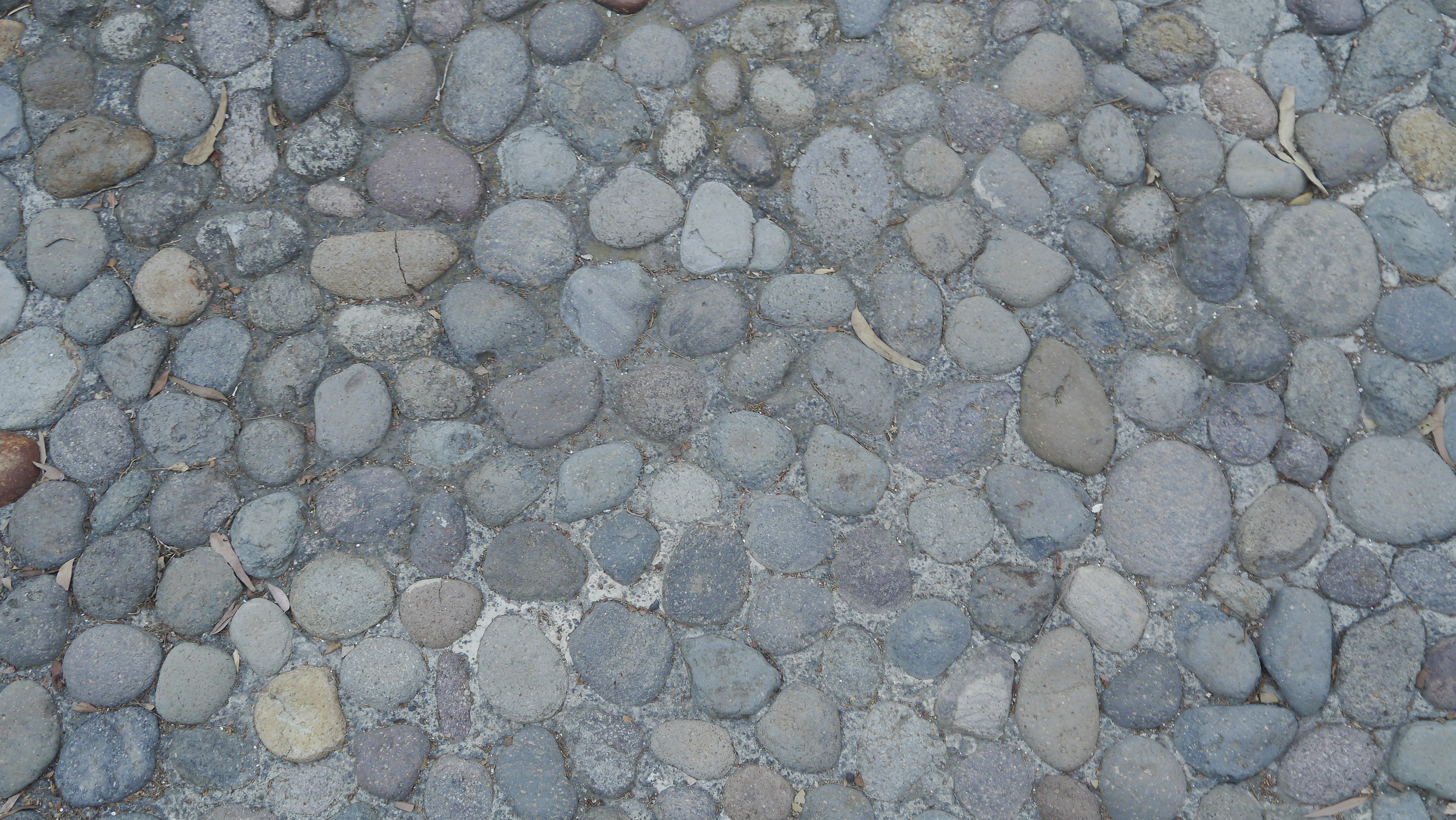 a close up of a street with rocks on it