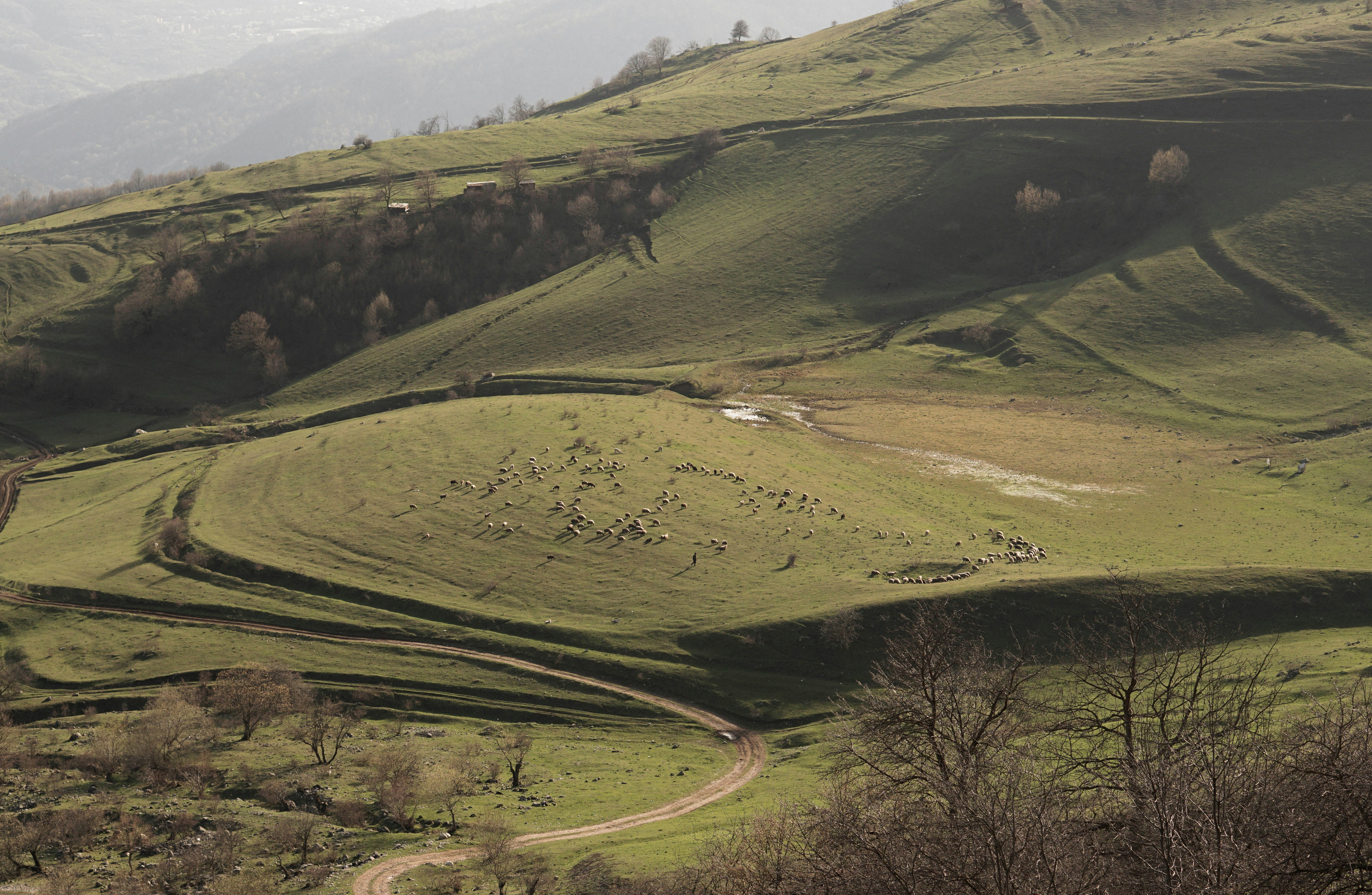 Photo by shushan_mln