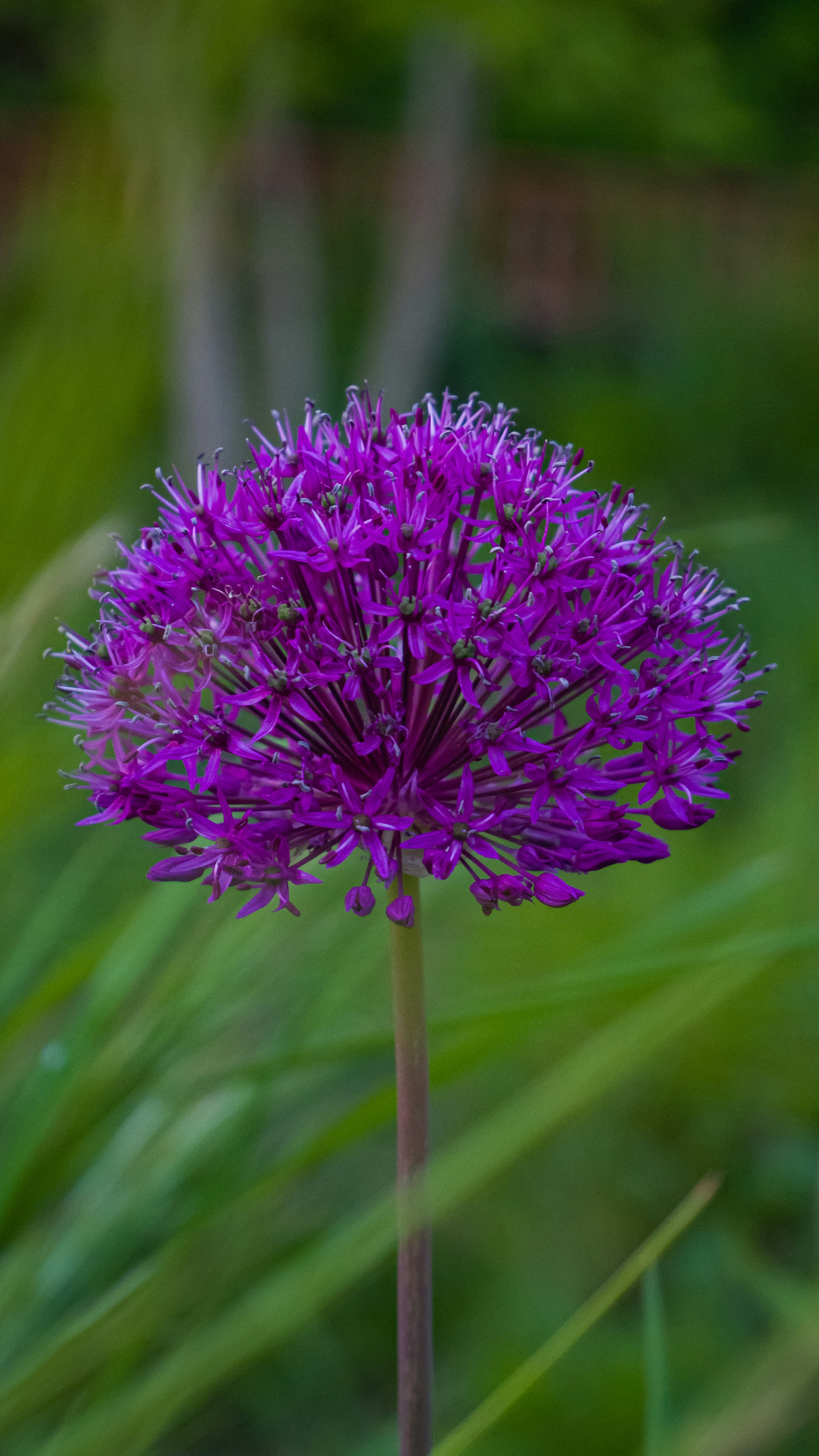 Photo by abphoto_dot_it