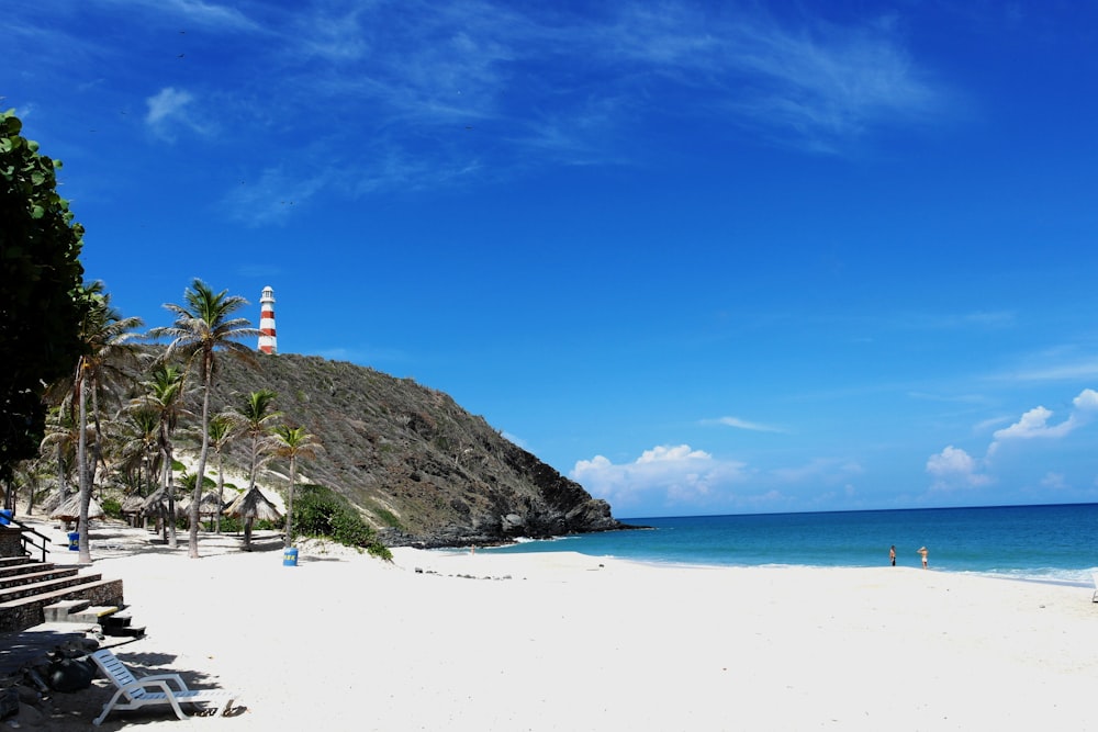 a sandy beach with chairs and palm trees