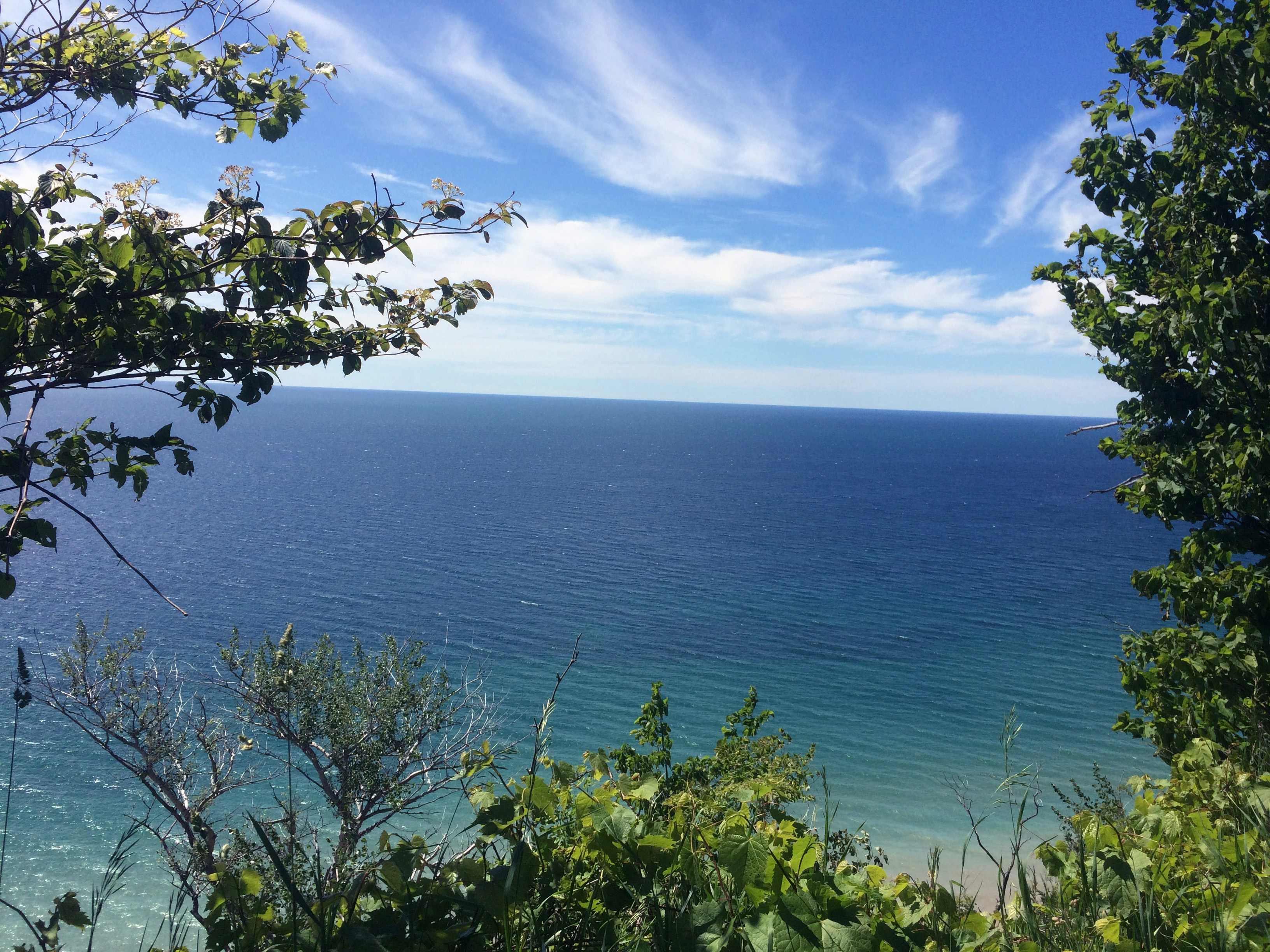 a view of a body of water through some trees