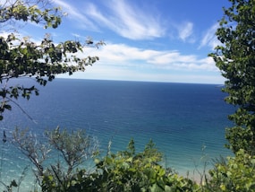 a view of a body of water through some trees