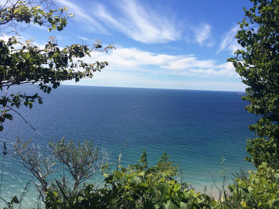 a view of a body of water through some trees