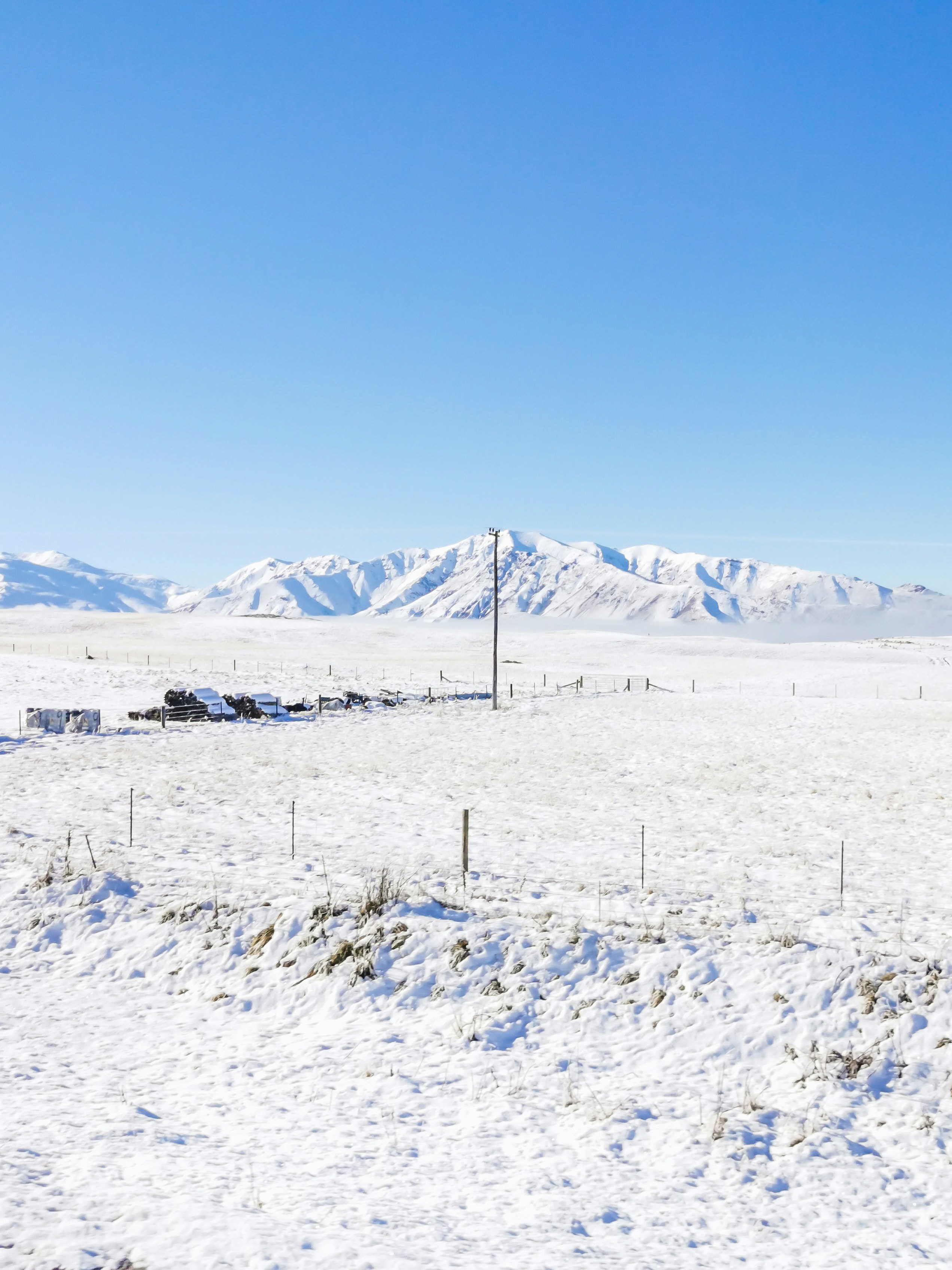 Photo by curiousislander