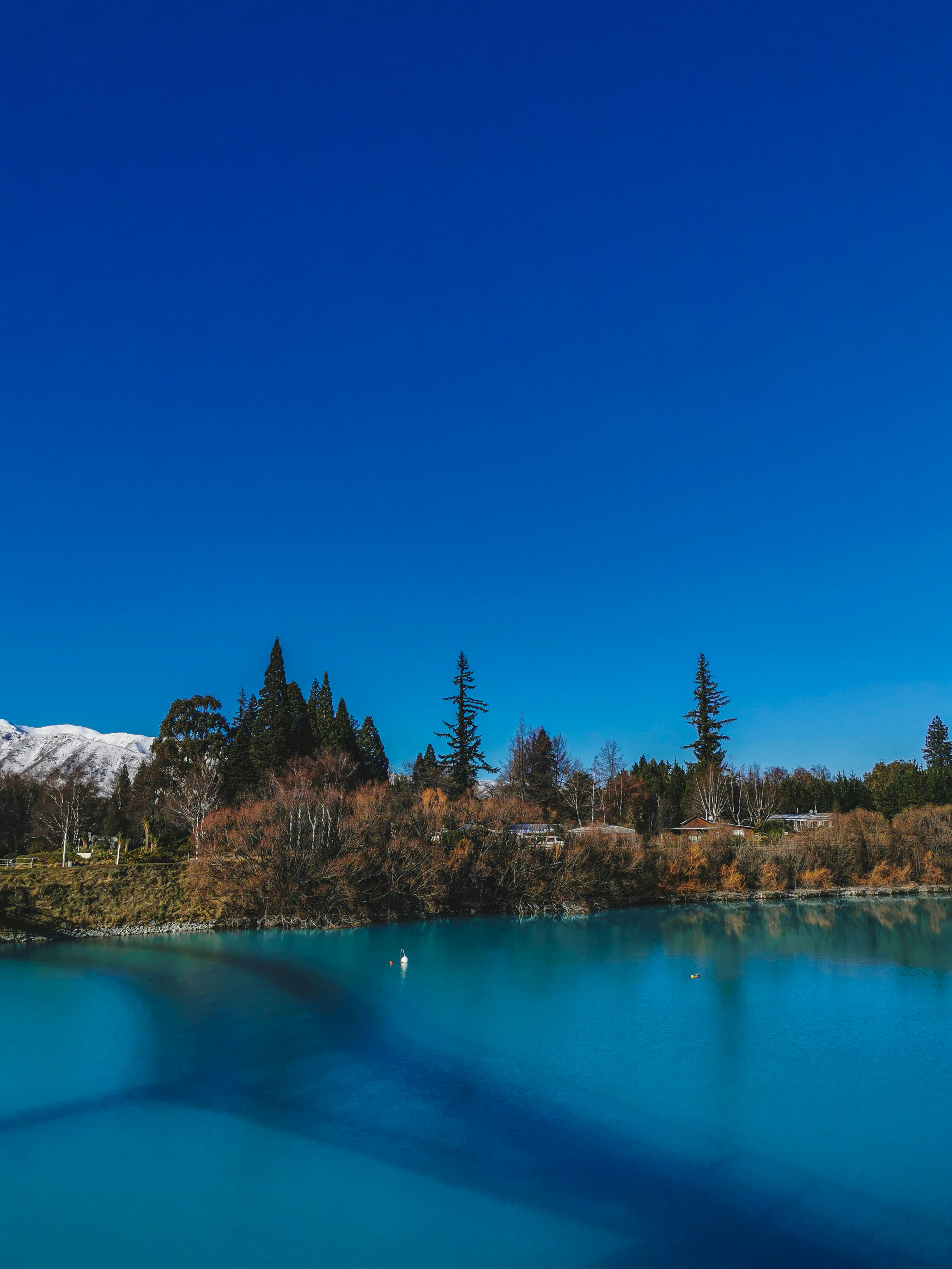 Photo by curiousislander