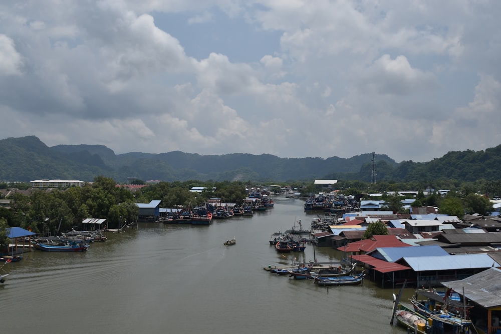 a river filled with lots of boats next to a forest