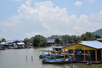 a body of water filled with lots of boats
