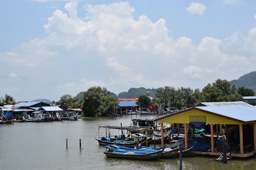 a body of water filled with lots of boats