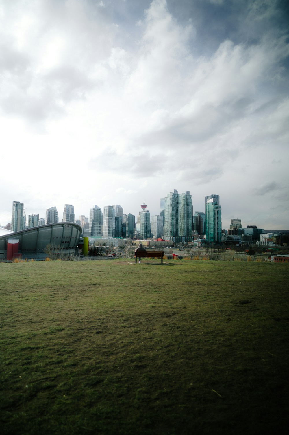 a horse in a field with a city in the background