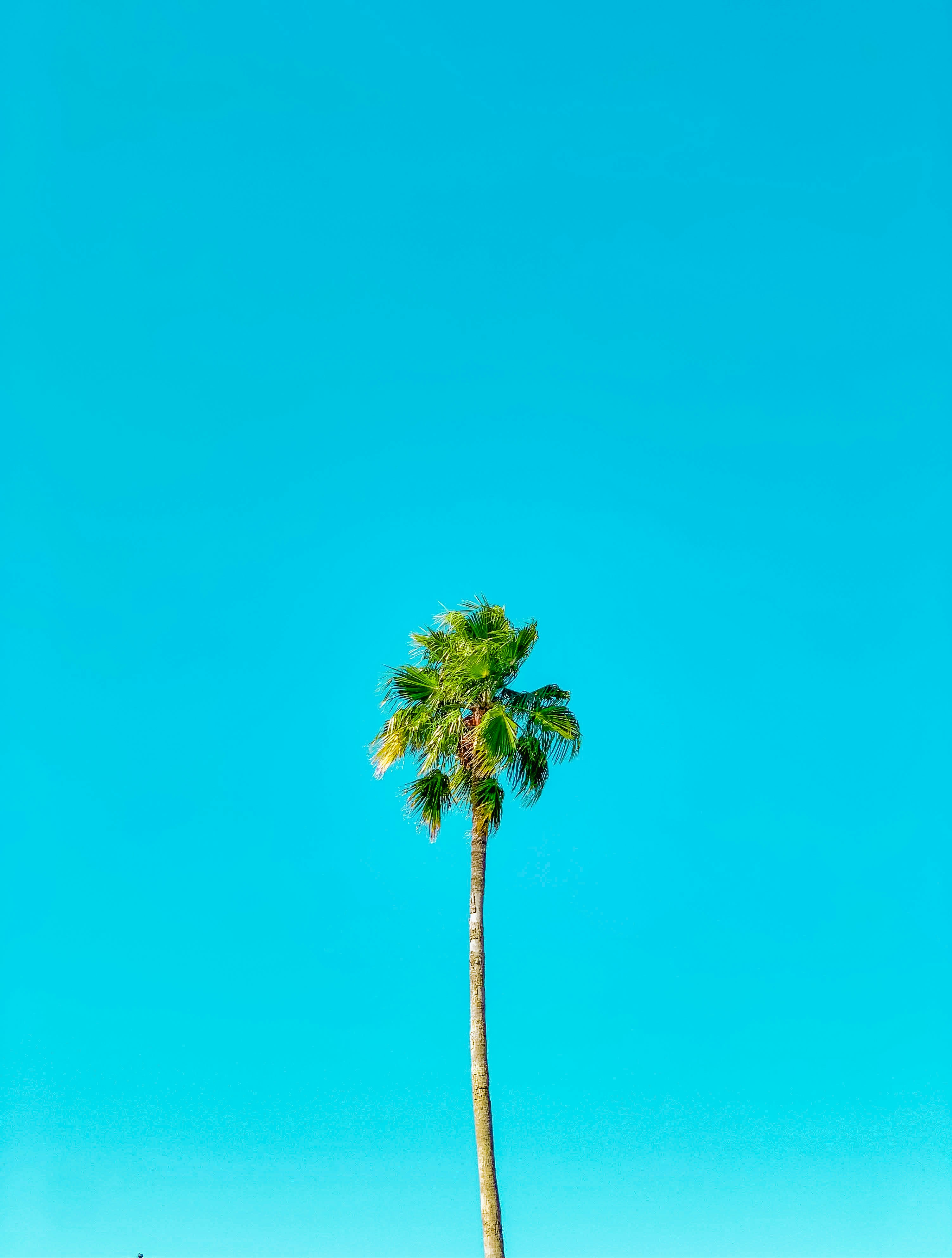 ReCrop | 6 best free recrop, colour, color and balloon photos on Unsplash