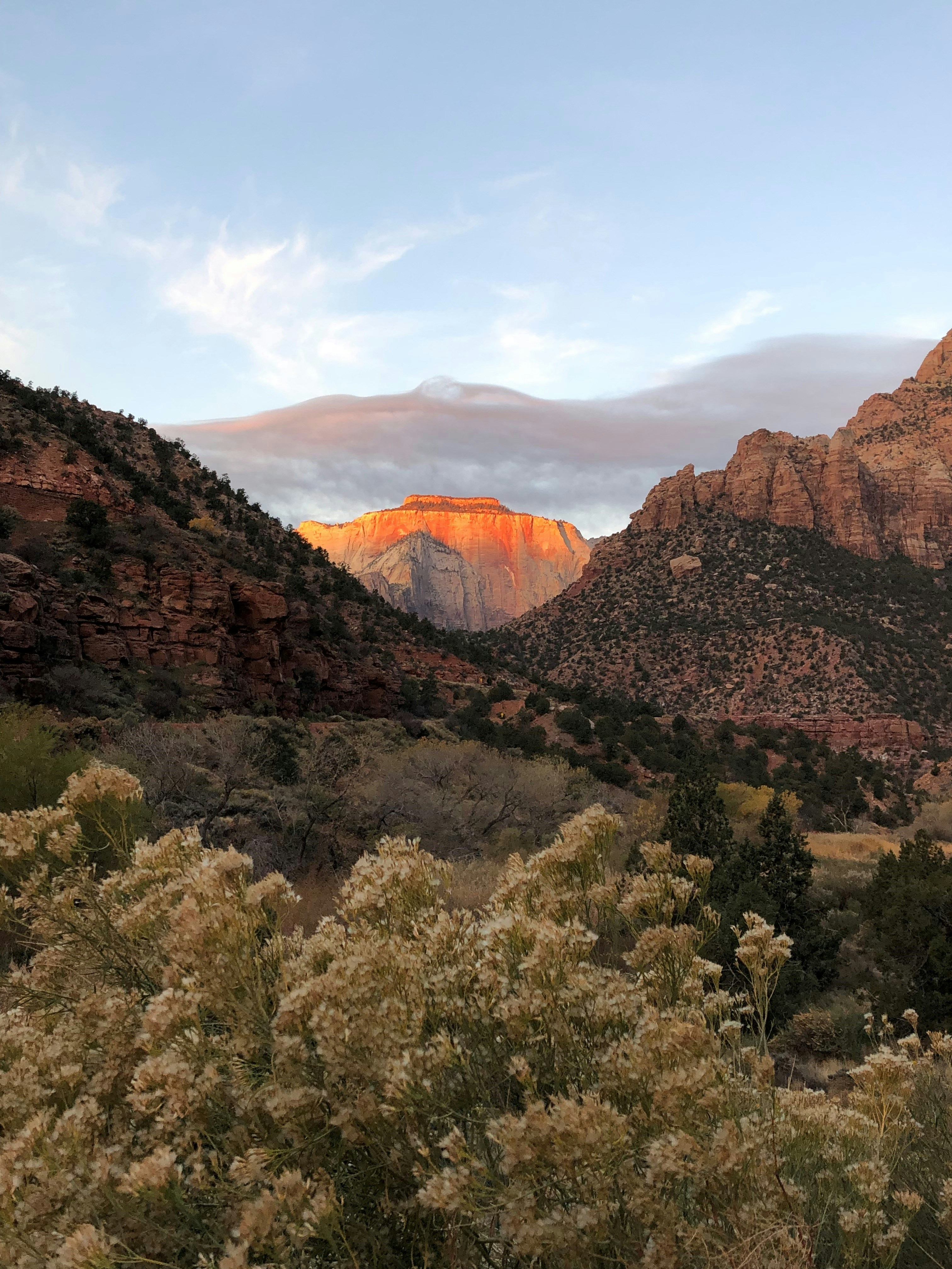 a view of a mountain range with trees in the foreground