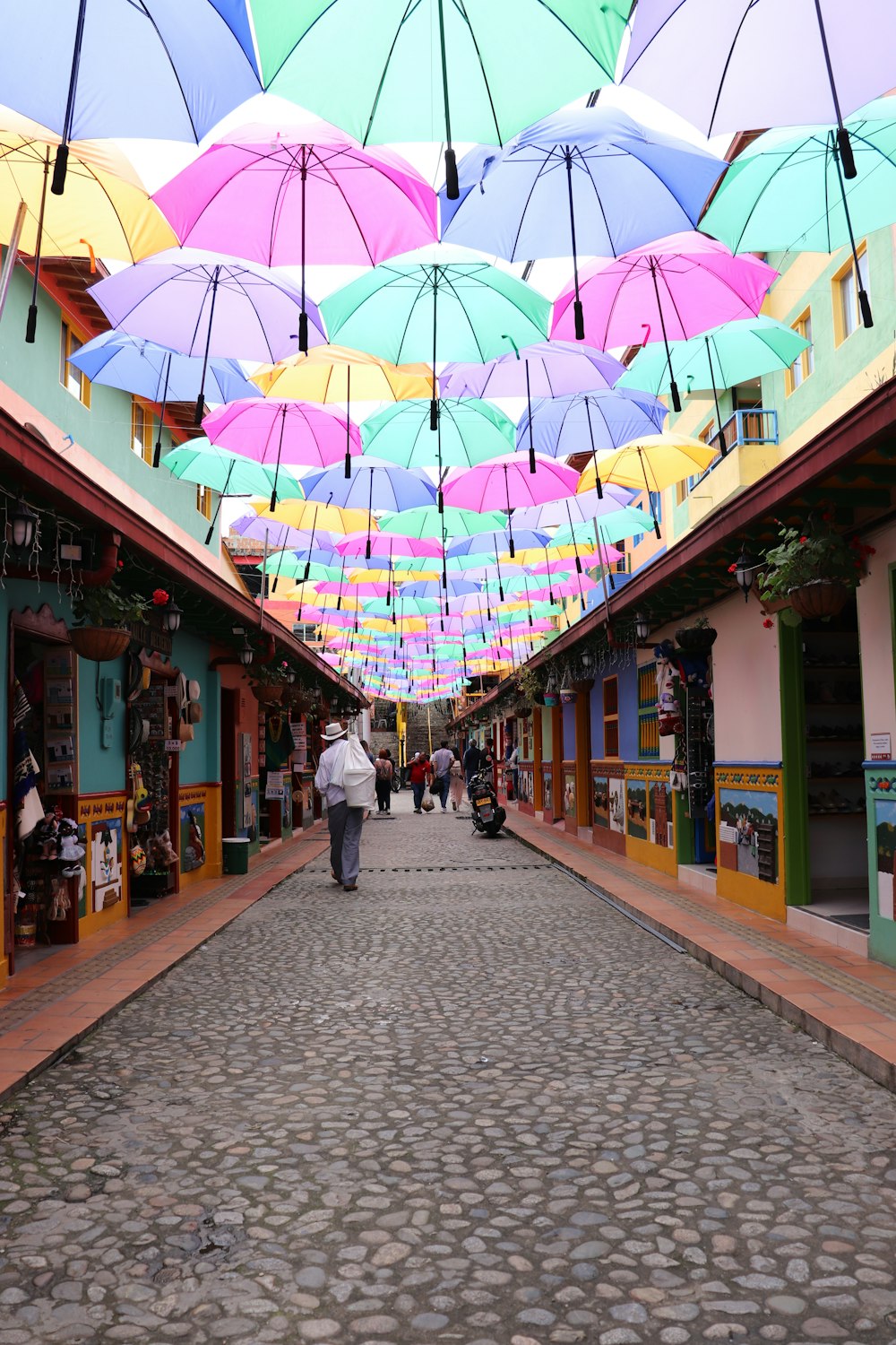 우산 아래 거리를 걷고 있는 한 무리의 사람들
