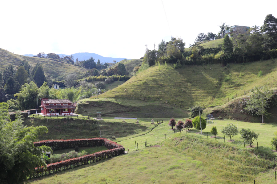 A Colombian finca set into a lush green hillside