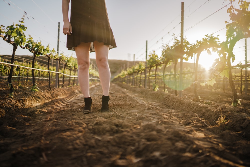 a woman walking down a dirt road next to a vineyard