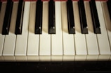 a close up of a piano keyboard with black and white keys
