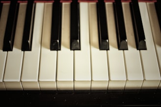 a close up of a piano keyboard with black and white keys