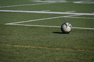 a soccer ball sitting on top of a soccer field