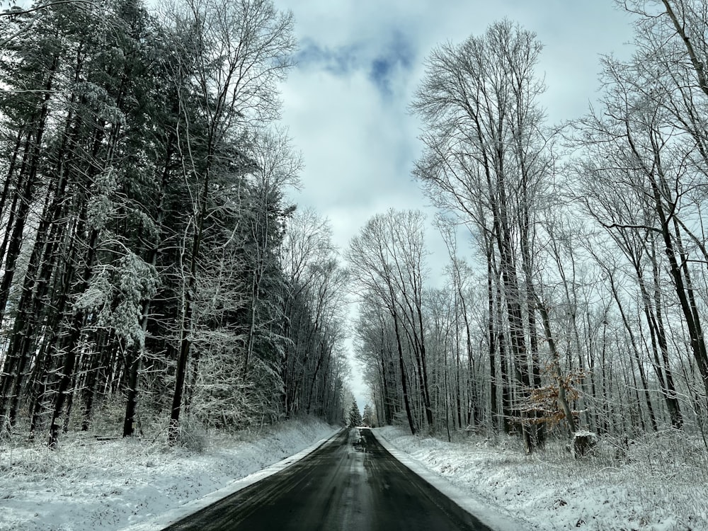 uma estrada no meio de uma floresta nevada