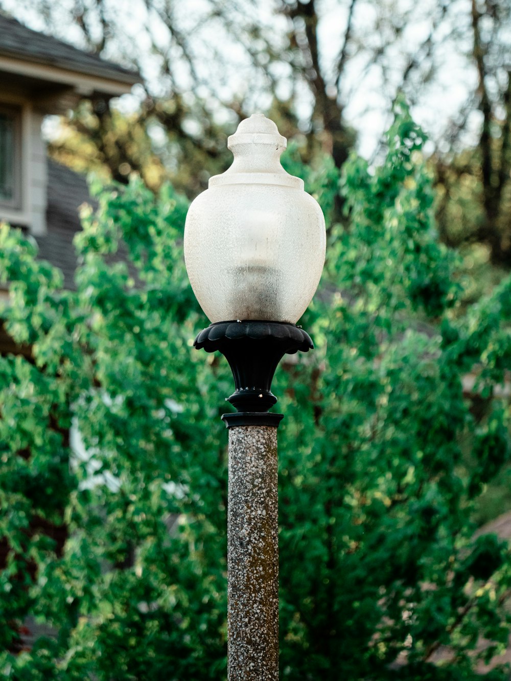 a street light sitting in front of a lush green forest