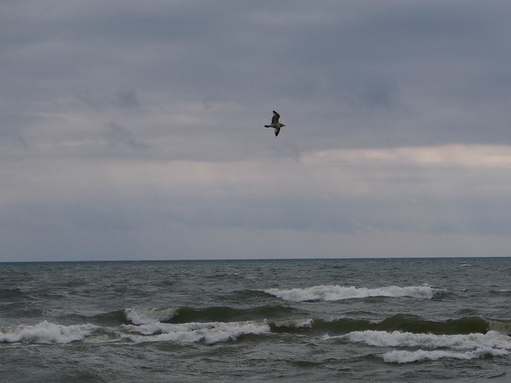 a bird flying over the ocean on a cloudy day