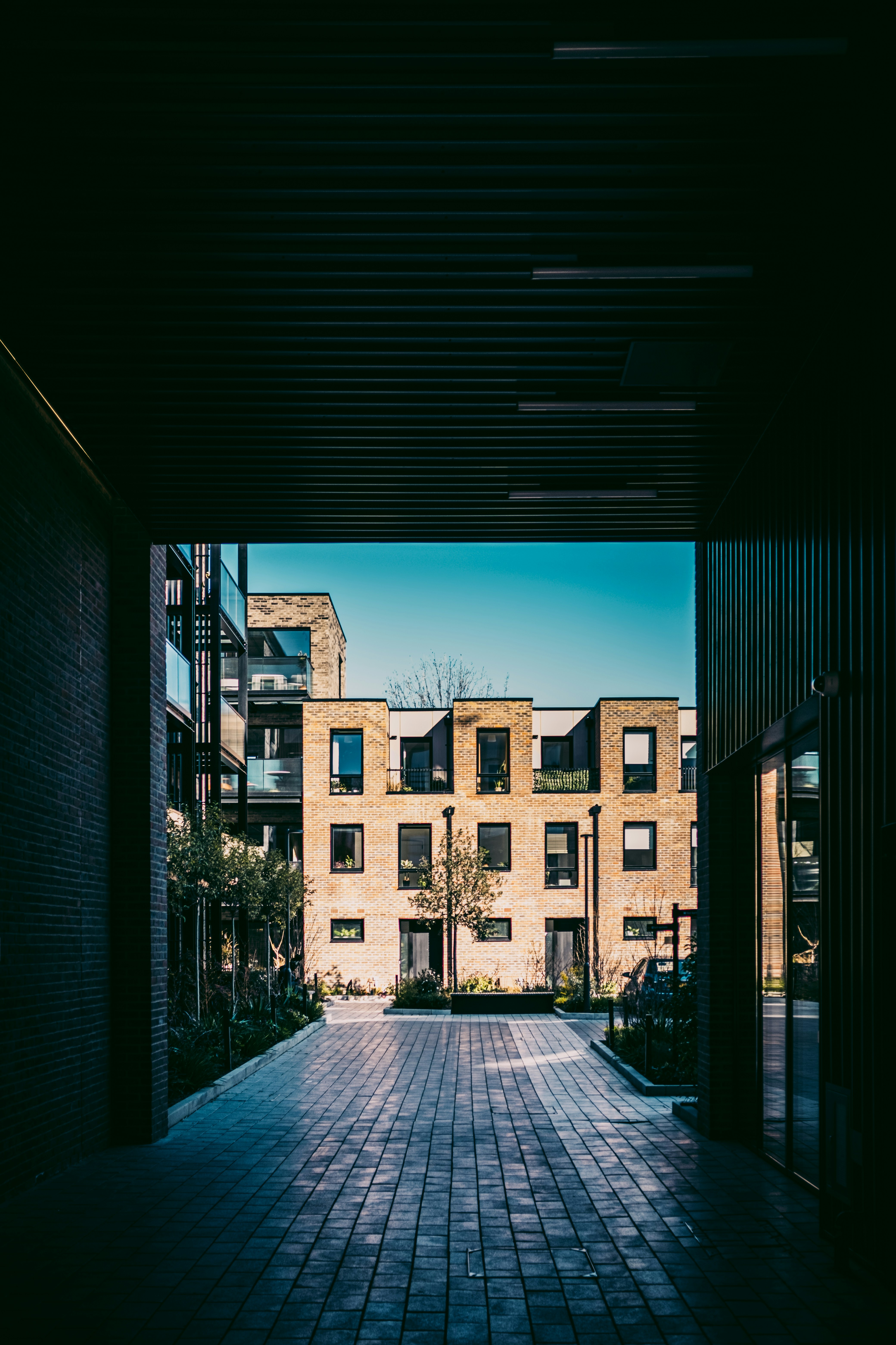 Photo by reganography