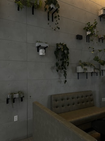 A modern interior with a concrete wall adorned with various potted plants. The plants are placed on shelves attached to the wall, some of which are cascading down. Below, there is a cushioned bench in an L-shaped arrangement, with a tufted design on the backrest.