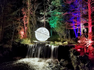 A serene installation piece combining natural elements and light.