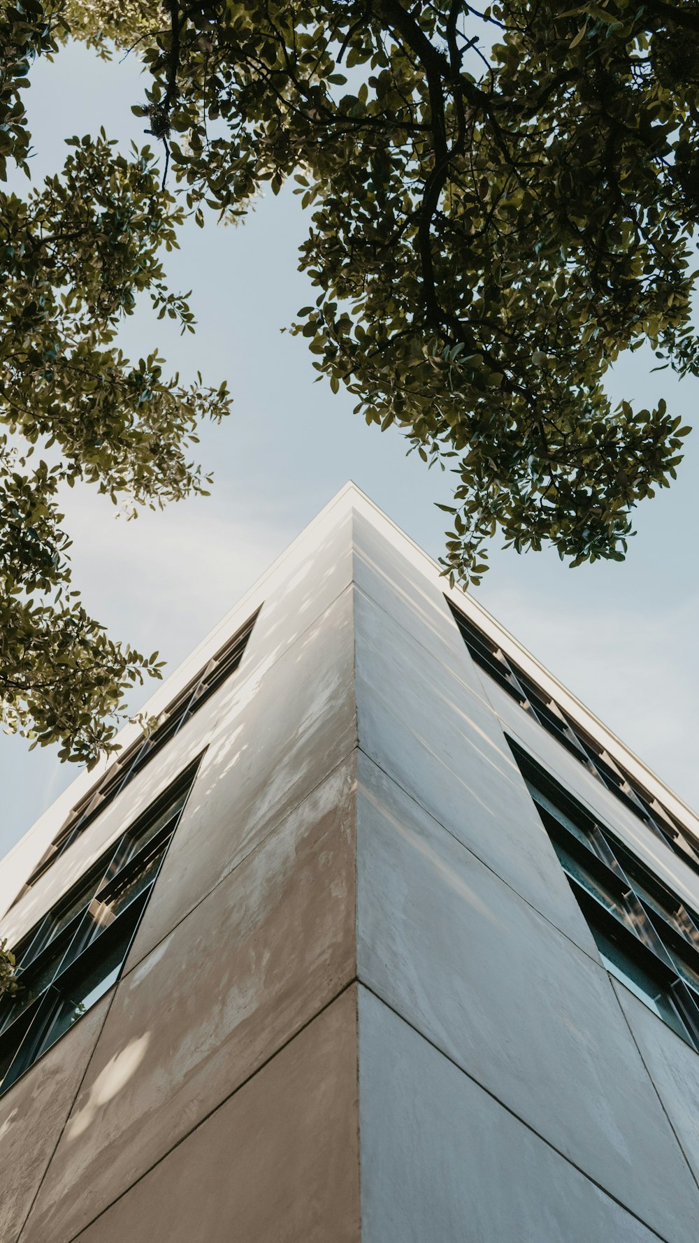 the top of a tall building with a tree in front of it