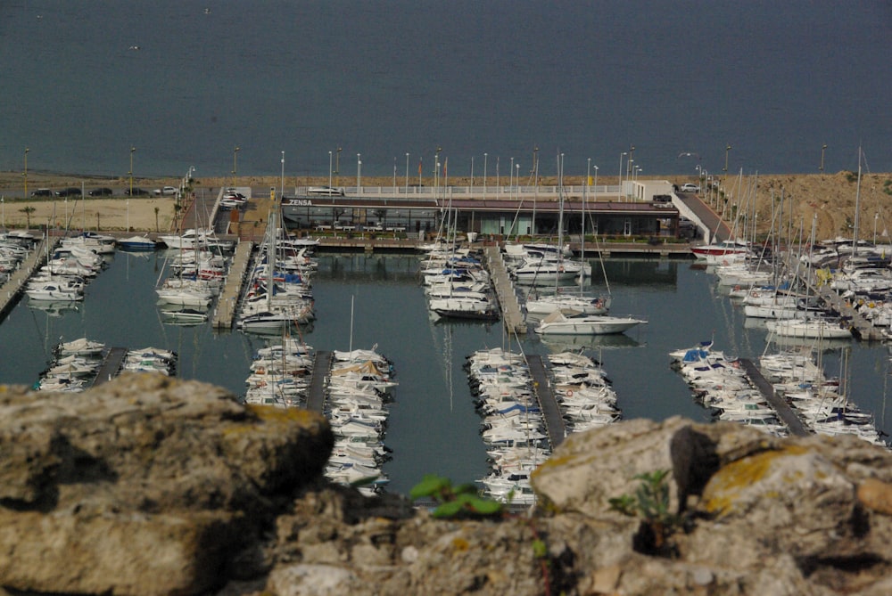 a marina filled with lots of white boats