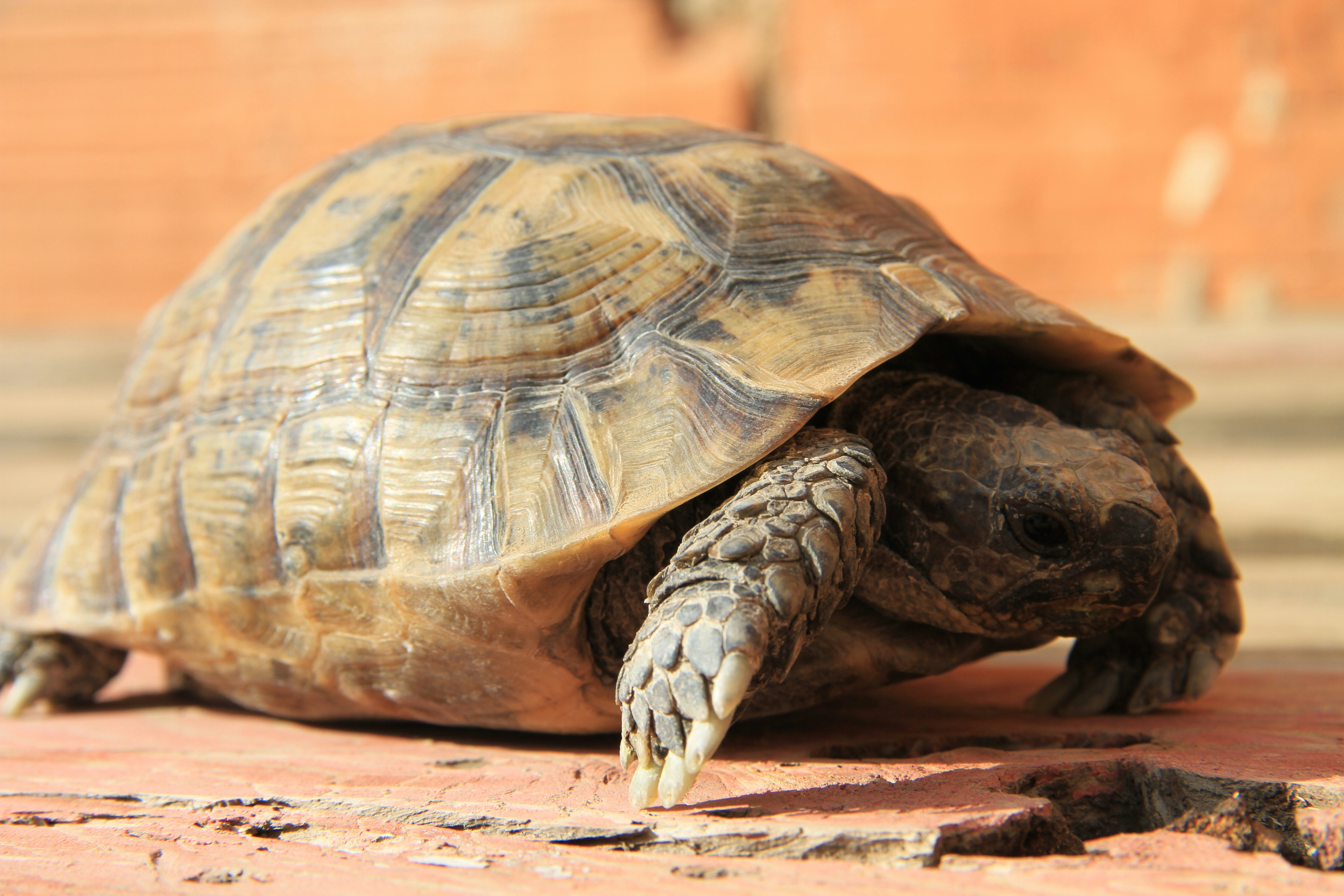 Photo by eosphotography